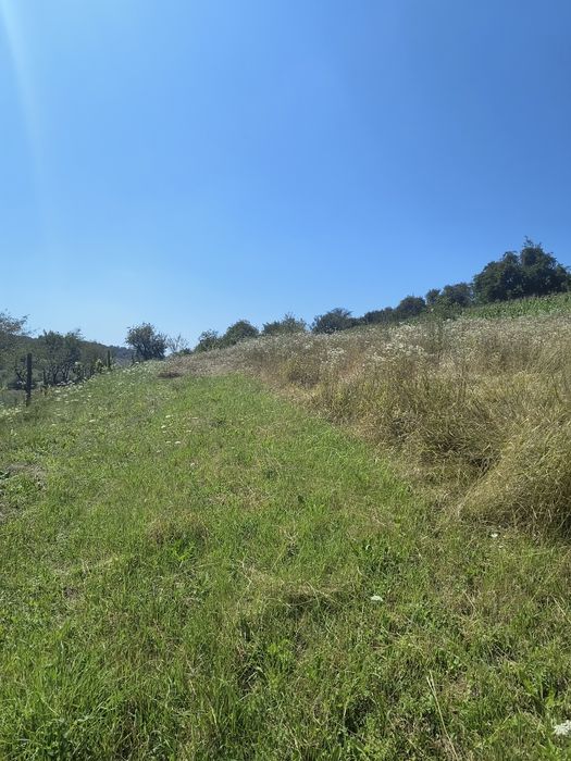 Teren casa investiție cabana poienița