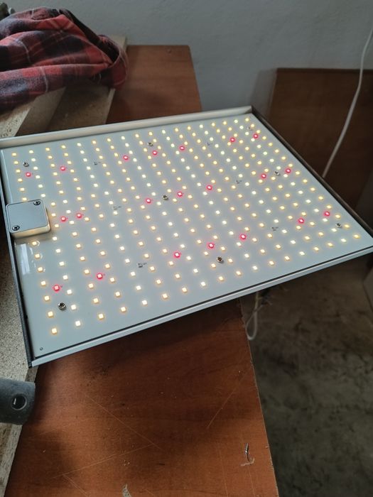 Lampa pentru creșterea plantelor