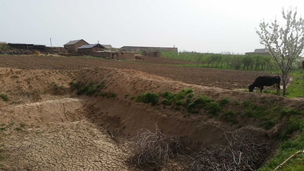 Кибрай тумани Майскийда ер сотилади