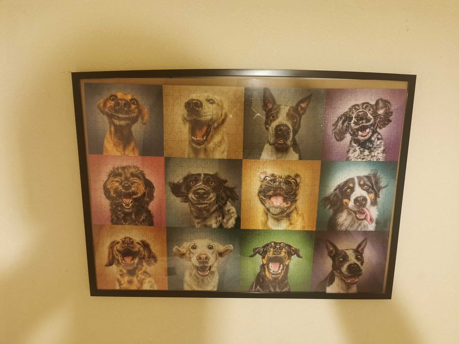 Пъзели в рамка и органайзер за пъзели