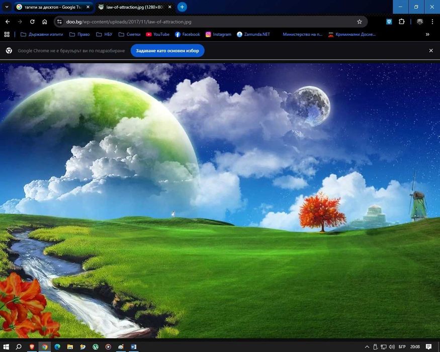 Професионален монитор NEC 1990FX