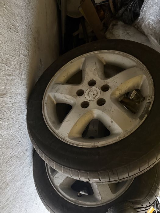 Диски и шина.