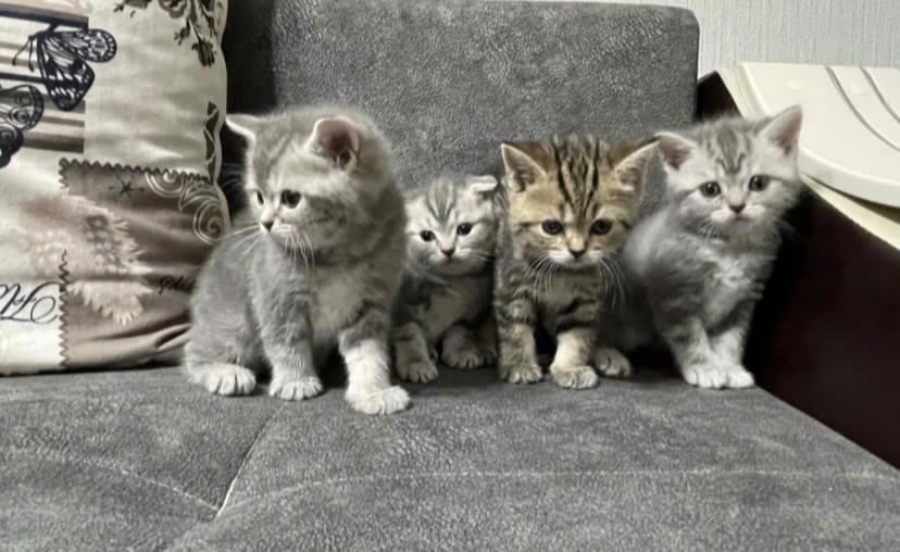 Шикарнейшие Детки