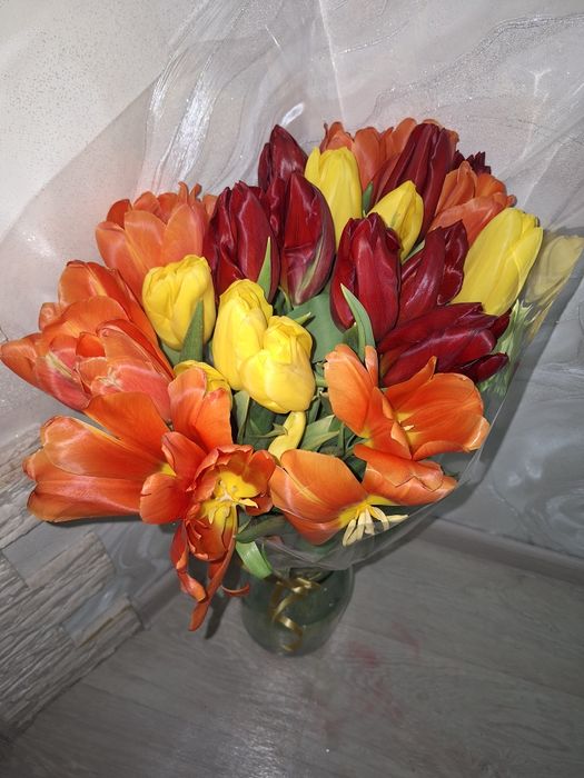 Цветы тюльпаны тюльпаны