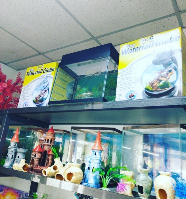 Помпа в Афалине.ниже Аль Фараби.по Навои