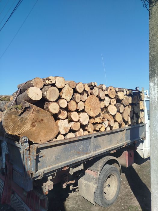 Lemne de foc esență tare