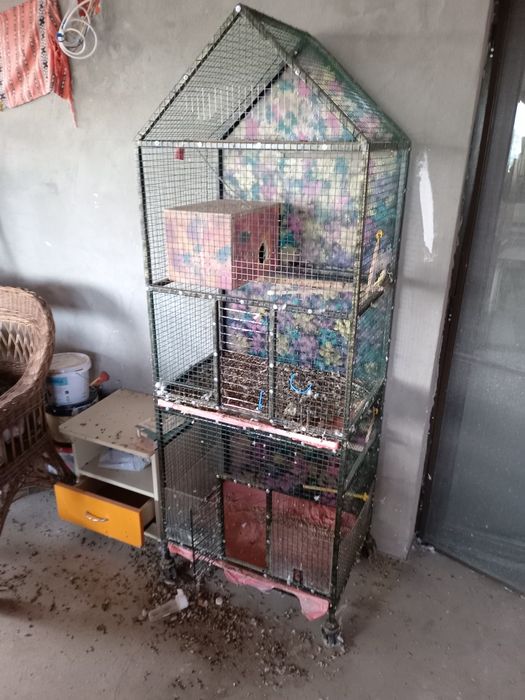 Colivie la. Schimb cu roiuri de albine. Sau  cu porumb