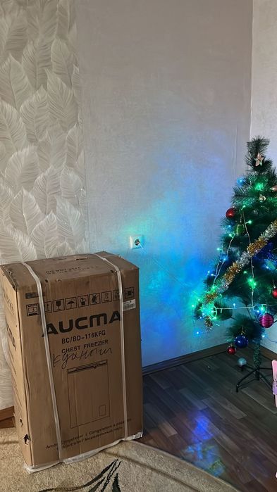 Морозильный ларь