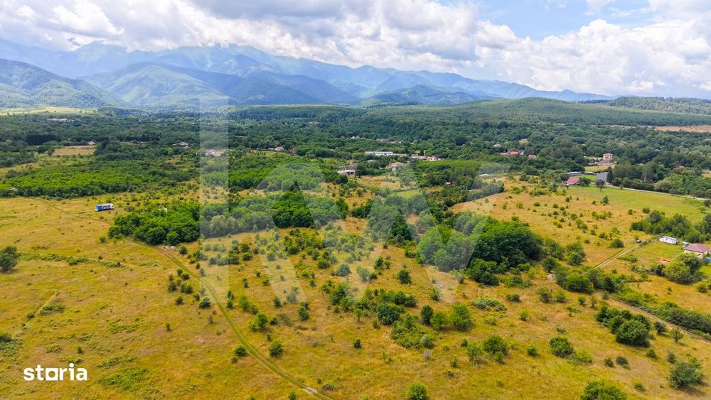 Teren extravilan de vanzare - Valea Avrigului, Sibiu