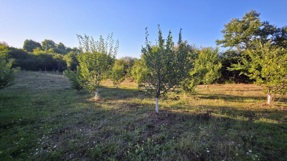 Продават се 7 парцела в кв. Църква, гр. Перник