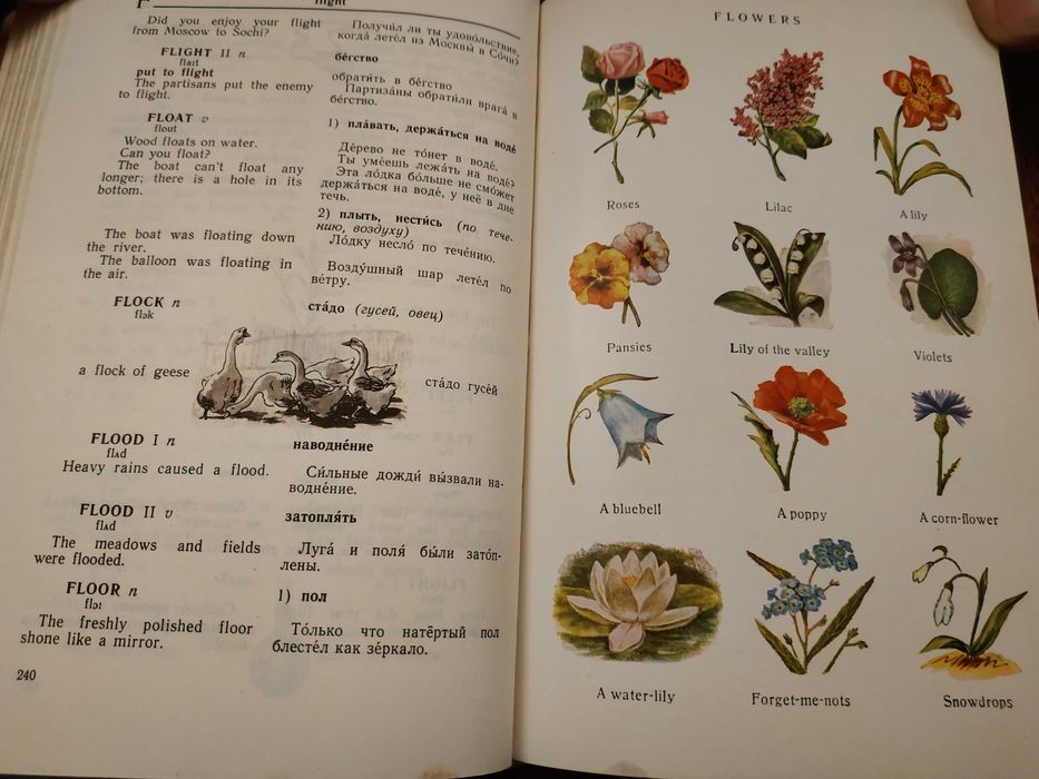 Англо-русский словарь с иллюстрациями