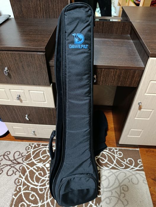 Профессионалды домбыра