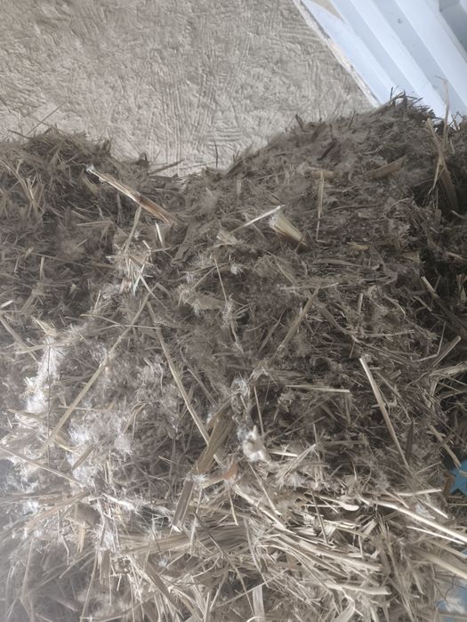 Макка билан камиш пресс