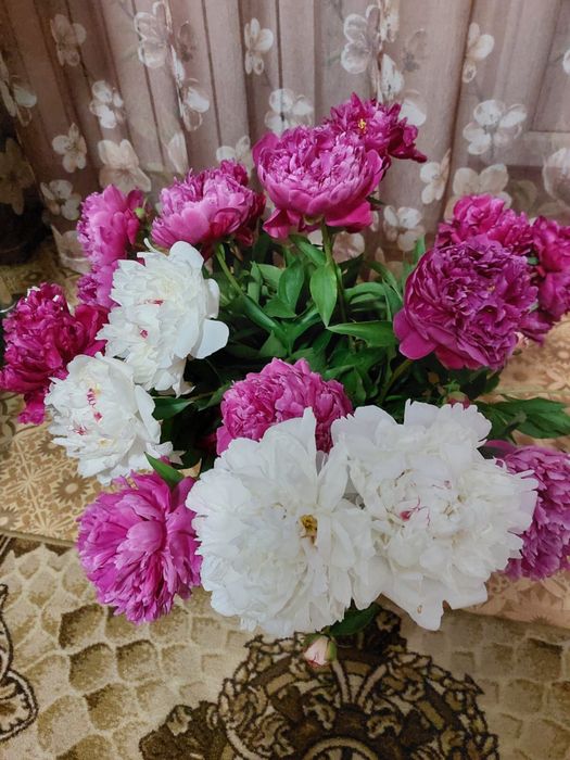Продом дачу все включино