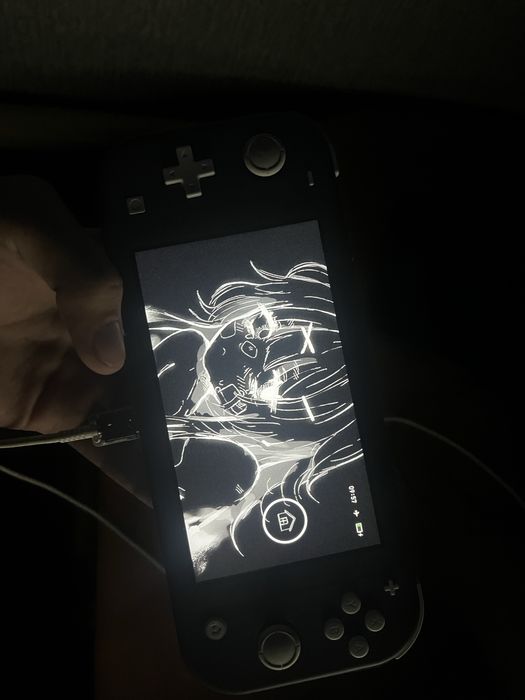 Nintendo switch lite прошитая