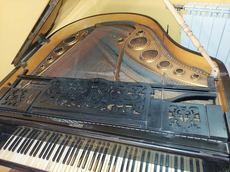 Pian de colectie - Rudolf Stelzhamer - Wien