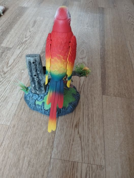 Поющий попугай,на ветке