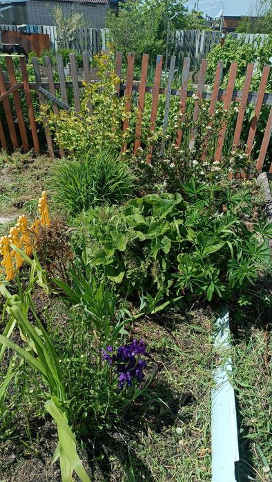 Продам дачу в дачном кооперативе Мотор-Комета