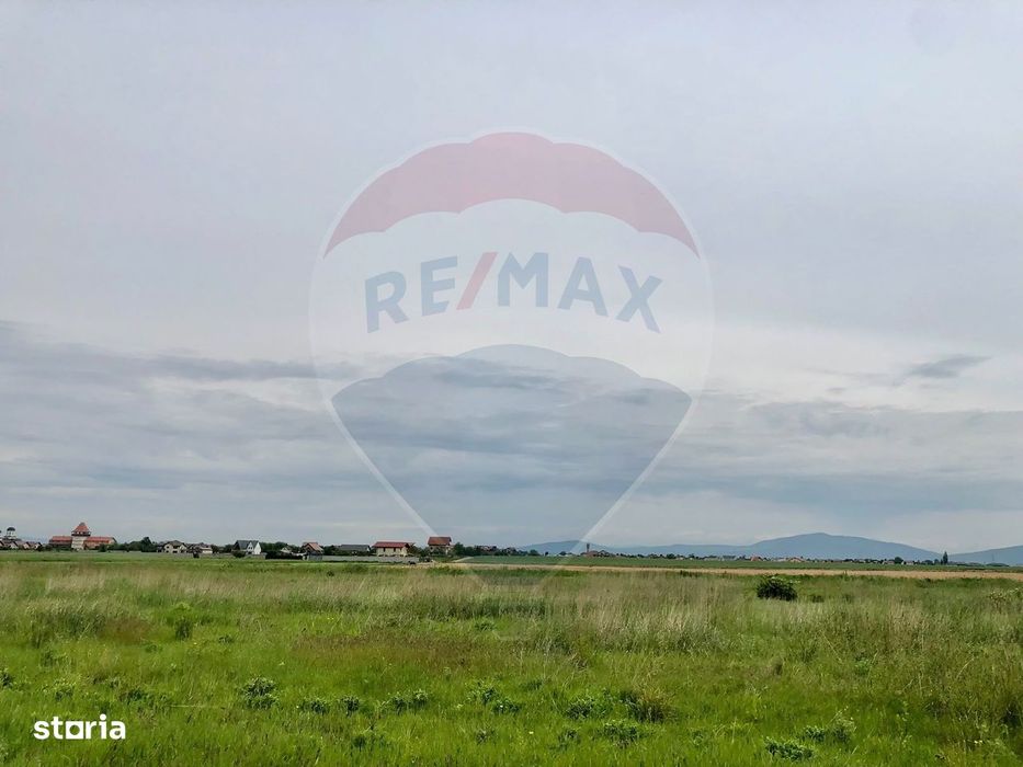 Comision 0% | 4 Parcele 538mp | Harman, Strada MIHAIL SADOVEANU
