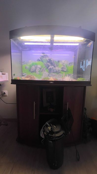 АКВАРИУМ JUWEL 180L + Шкаф, ФИЛТЪР SICCE, осветление и декорации