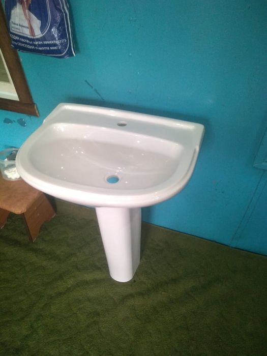 Тюльпан с раковиной