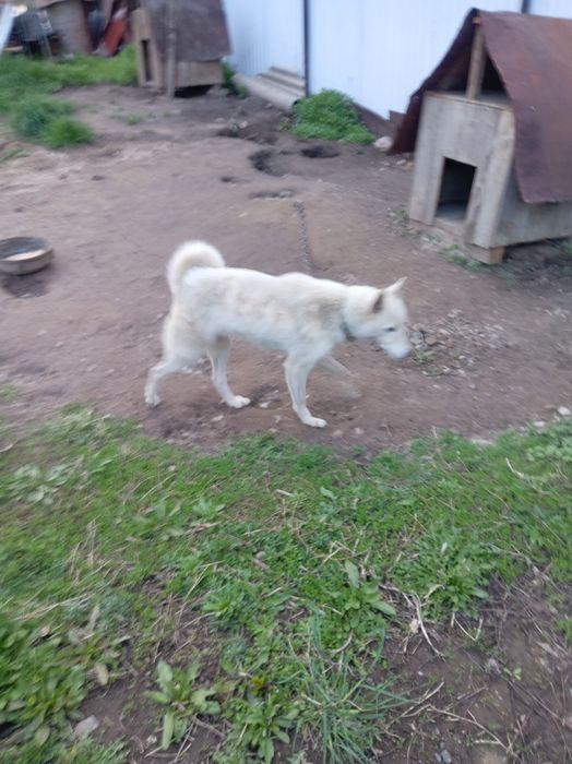 Продам Продам Продам