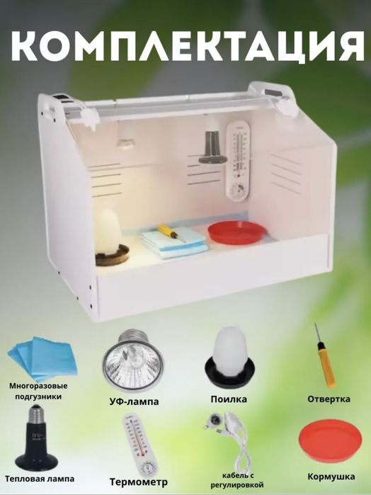 Брудер для цыплят