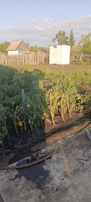 Продам дачу 6 общество