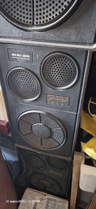 Колонки 25АС 309