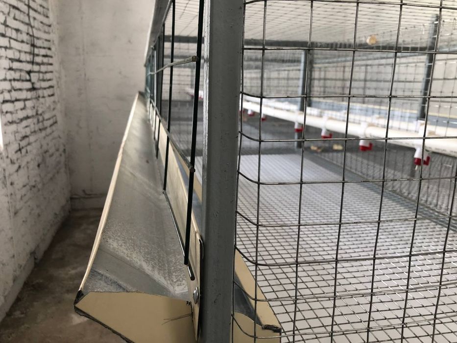 Jo'jalar VA broller tovuqlar uchun qafas