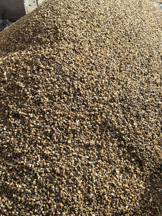 Stâlpi beton / spalieri vie /  gard