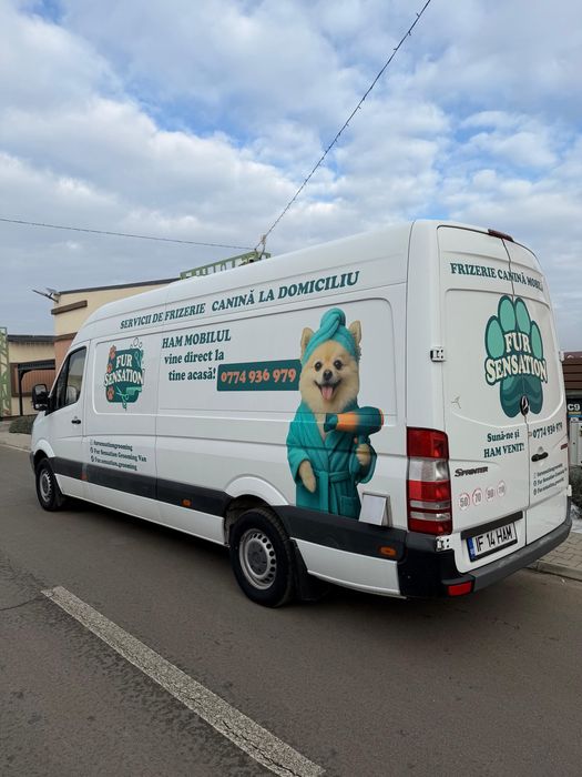 Frizerie canină si felină la domiciliu tau