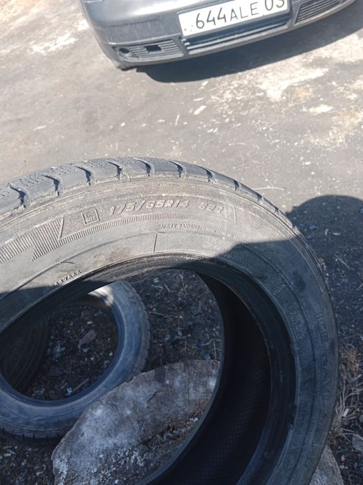 Автошины продам.