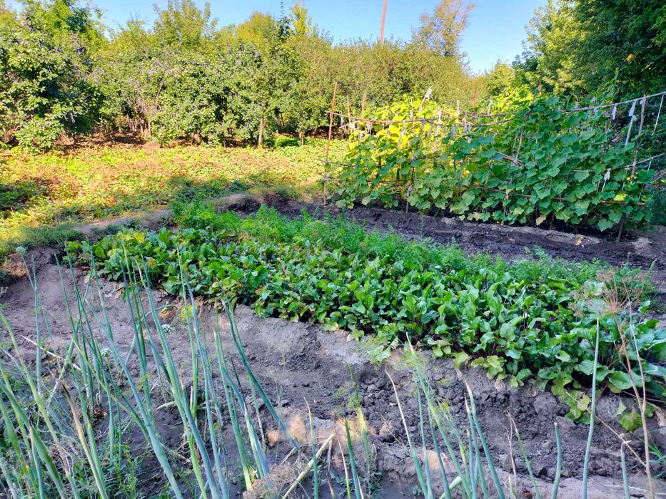 Продам дачу в черте города (район гипермаркет Анвар)