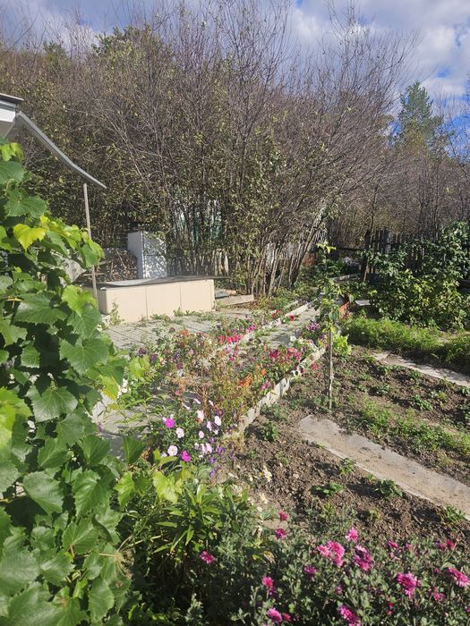 Продам дачу общество Черёмушки