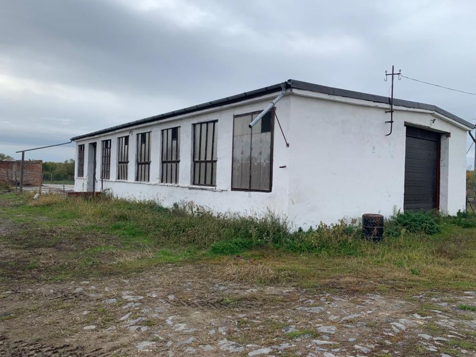 Timis la 8km de A1 Hala inalta 5m+casa/birouri teren posib extind 4ha