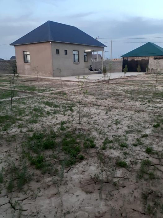 Орда да дайын уй сатылады