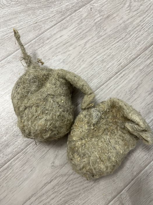 куркылтайдын уясы