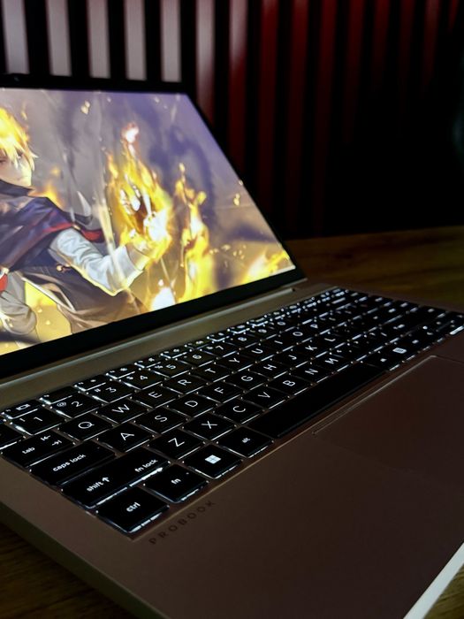 Hp Probook ryzen 5