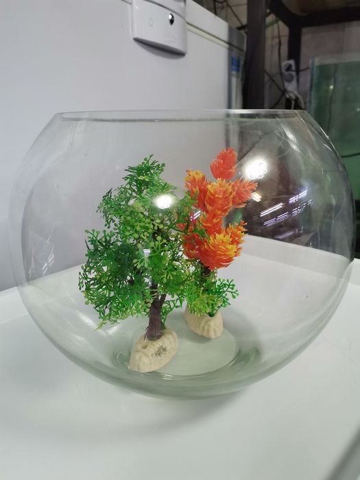 Acvariu bol pentru pești / creveți