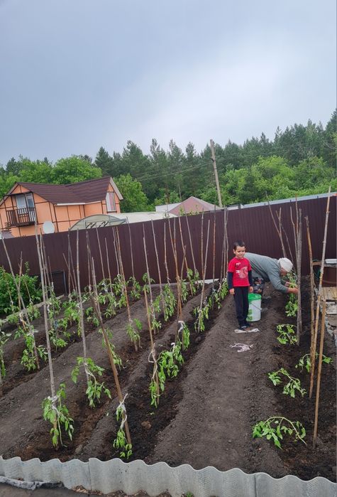 Дачу в обществе Гудок