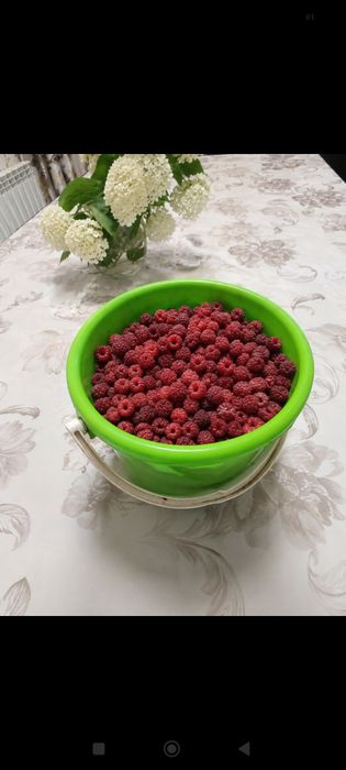 Продам малину со своей дачи