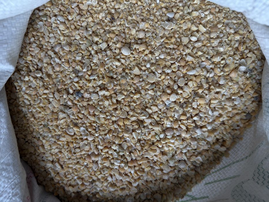 Горох в мешках чистый