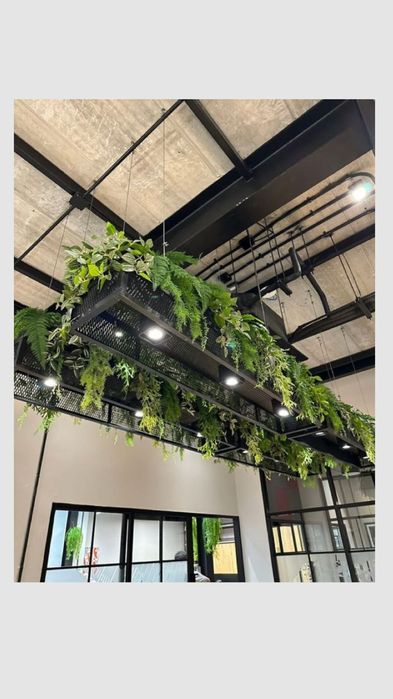 Декорация для вас