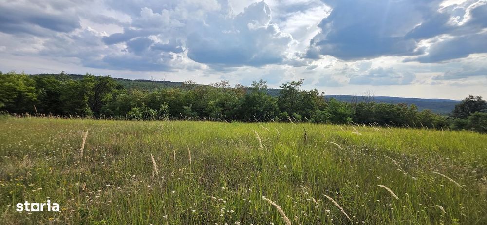 Teren Extravilan 9.528mp/ Vârciorog -Bihor / 30 km de Oradea