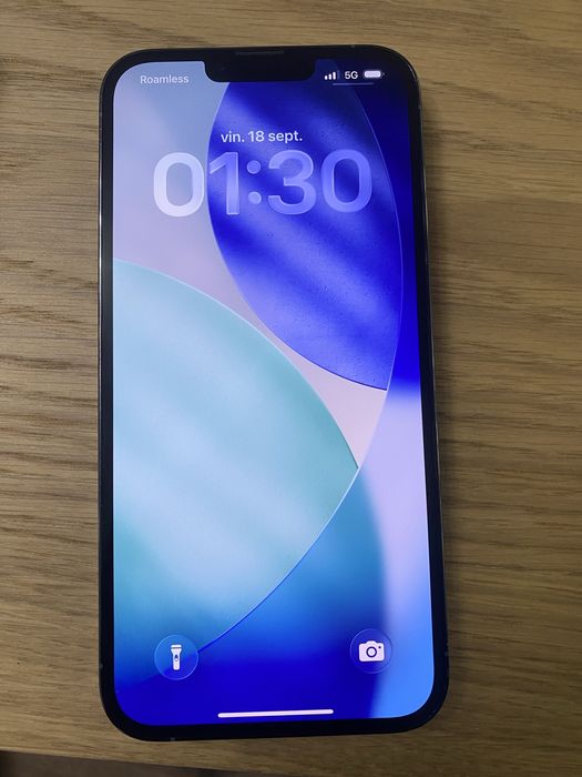 iPhone 13 Pro Max 256GB