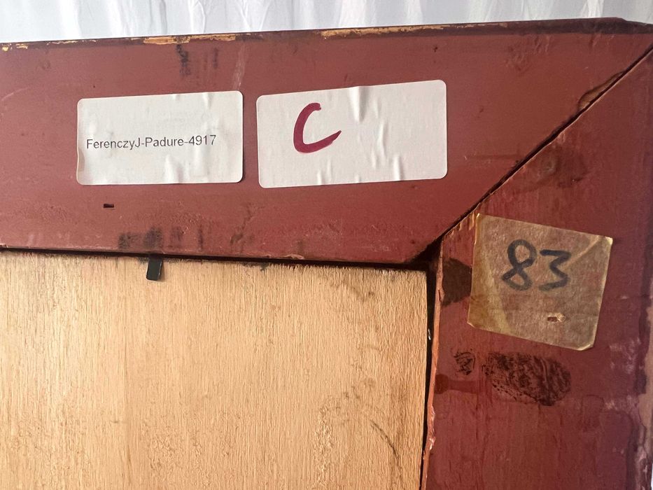 Pictură cu ramă, semnată de Ferenczi Júlia