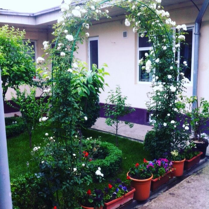 Ландшафтный дизайн,газоны,система полива,уход за садом.