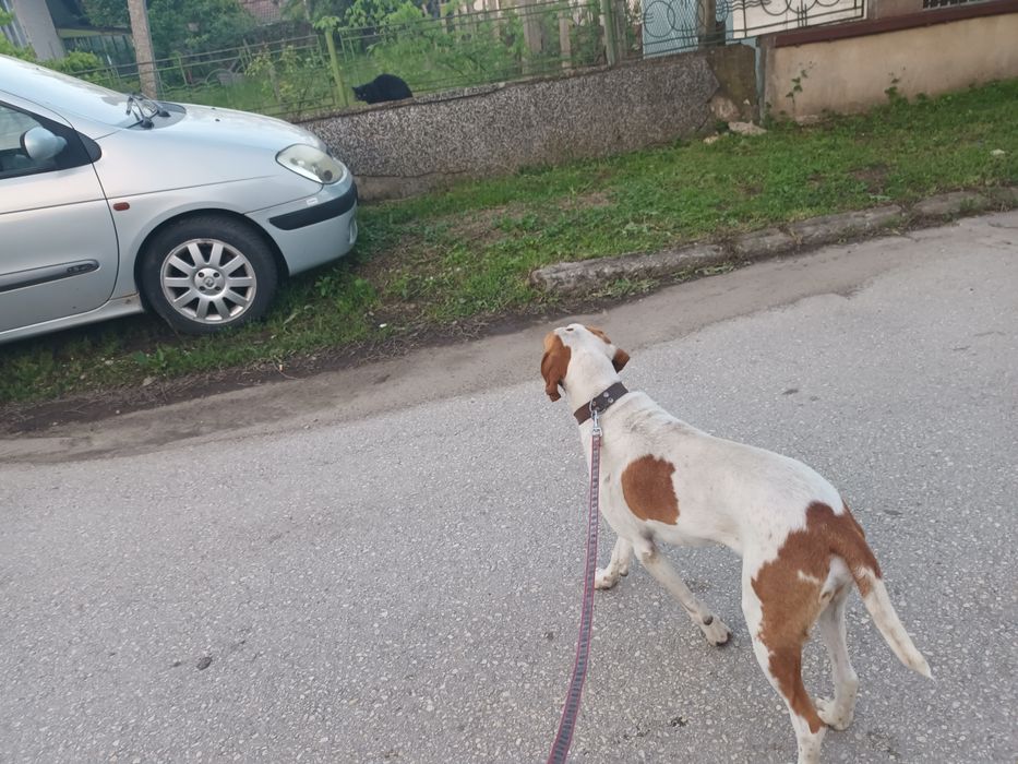 Откраднат/изгубен