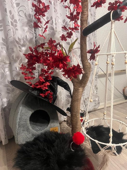 АКЦИЯ!Продам когтеточку